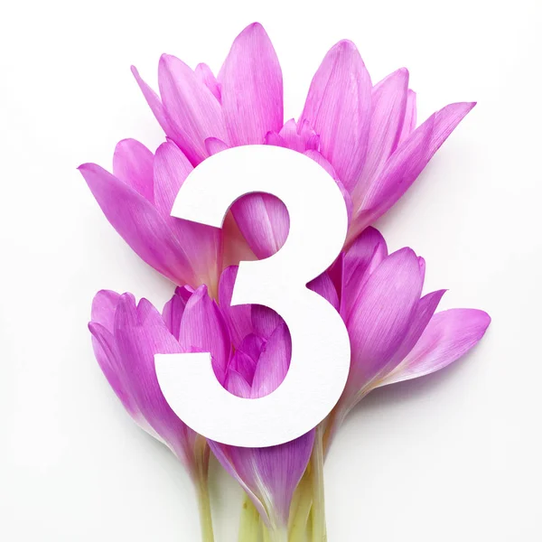 Düzen renkli çiçekler, yapraklar ve üç numara. Düz yatıyordu. Üstten Görünüm.