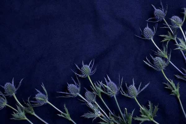 花と青い布布背景テクスチャ。トップ ビュー — ストック写真