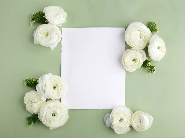 Blommig ram av vita blommor och blad på grön bakgrund. Blommig bakgrund. Platt lekmanna, top view. — Stockfoto