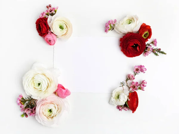 Ram med rosa och röda ranunculus, på vit bakgrund. Platt lekmanna, top view — Stockfoto