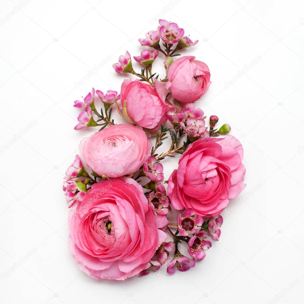floral composition with a pink Ranunculus flowers on white background. Flat lay