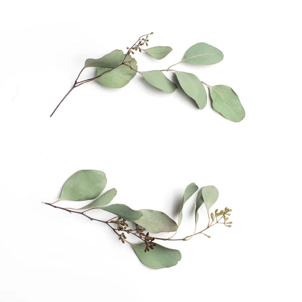 Leaf pattern. Frame made of green leaves on white background. Flat lay, top view, copy space