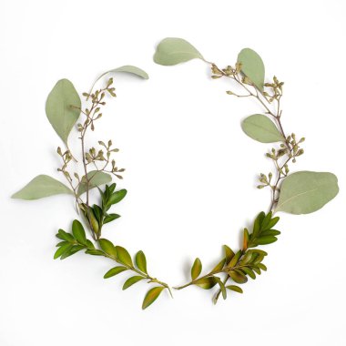 Yeşil dallar ve yapraklar beyaz zemin üzerine yuvarlak daire çerçeve yaptı. Düz yatıyordu, en iyi görünümü