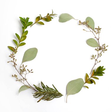 Yeşil dallar ve yapraklar beyaz zemin üzerine yuvarlak daire çerçeve yaptı. Düz yatıyordu, en iyi görünümü