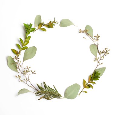 Yeşil dallar ve yapraklar beyaz zemin üzerine yuvarlak daire çerçeve yaptı. Düz yatıyordu, en iyi görünümü