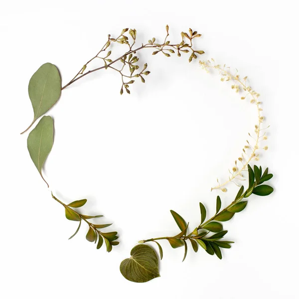 Kroužek rám vyrobený ze zelených větví a listí na bílém pozadí. Plochá ležel, horní pohled — Stock fotografie