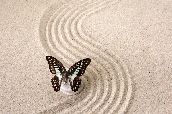 Zen Garten Meditationsstein für Konzentration und Entspannung mit Schmetterling. Ansicht von oben — Stockfoto