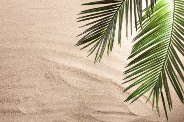 Cross ve Palm Tree kumsalda yaprak bırakıyor. Palm Sunday konsepti. Üst görünüm
