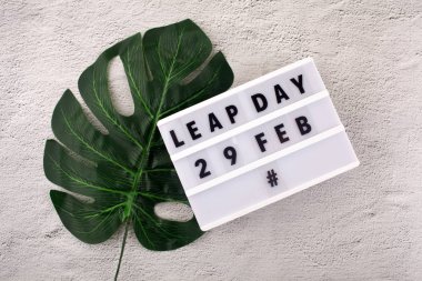 White block calendar present date 29 and month February and plant on rustic background. Leap day clipart