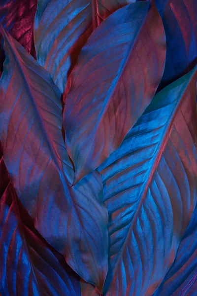 Blue and red neon glowing leaves on dark background. Jungle nature. Blue glow. Magic forest background. — Stockfoto