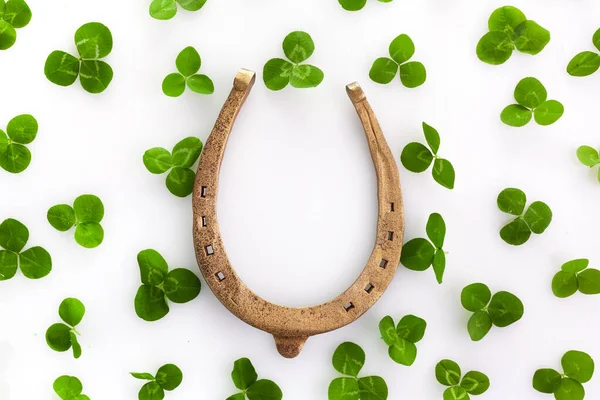 Success symbol. Holiday concept. Horseshoe with clovers leaves isolated on white. Greeting card. — Stok fotoğraf