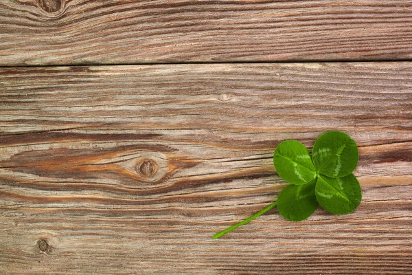 Trébol de cuatro hojas sobre fondo de madera vintage. Vista superior —  Fotos de Stock