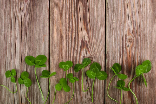 ヴィンテージの木の背景に緑のクローバーの葉。トップ表示 — ストック写真