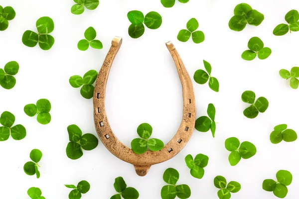 Success symbol. Holiday concept. Horseshoe with clovers leaves isolated on white. Greeting card. — Stock Fotó