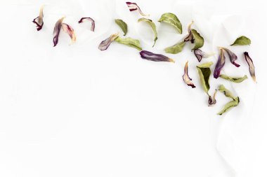 Kuru bitkiler ve beyaz arka planda ipek kurdele. Düz yatış, üst görünüm.