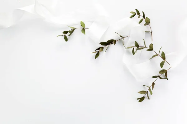 白地に乾いた植物や絹のリボン。フラットレイアウト、トップビュー. — ストック写真
