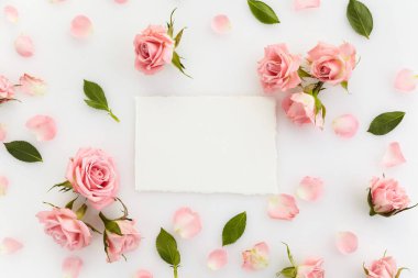 Beyaz arka plandaki güllerin iskeleti. Düz yatıyordu. Üst görünüm