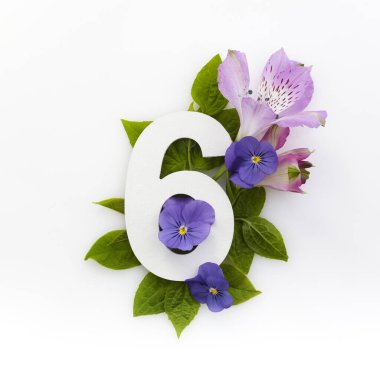 Renkli çiçekli yaratıcı bir düzen ve beş numara. Düz yatıyordu. Üst görünüm.