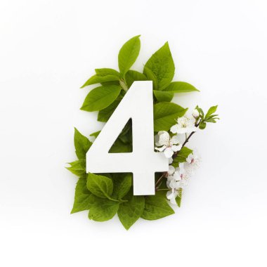 Yeşil yapraklı numara. Minimum yaz konsepti. Düz yatıyordu.