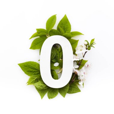 Yeşil yapraklı sıfır numara. Minimum yaz konsepti. Düz yatıyordu.