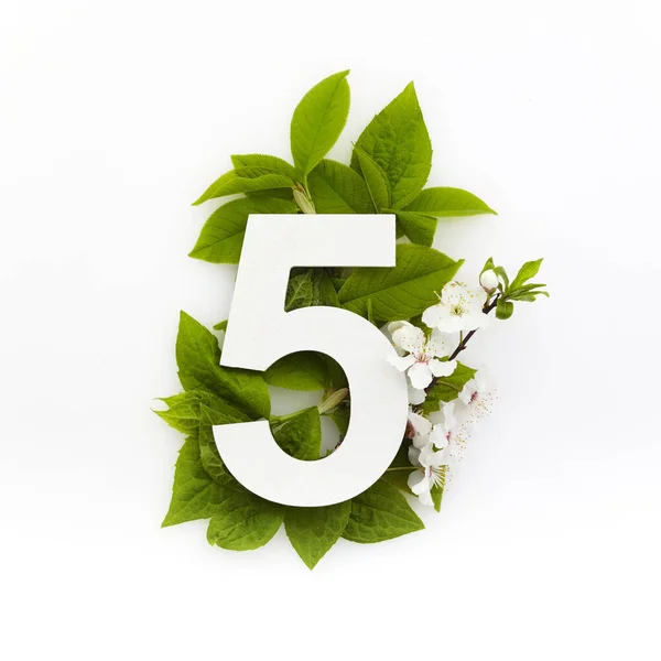 Number five with green leaves. Minimal summer concept. Flat lay. — Stock Photo, Image