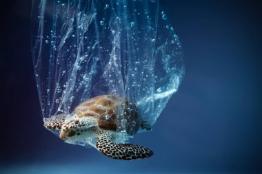 Okyanusta plastik torba içinde kaplumbağa. Platik kirlilik sorunu. Dünya Okyanusları Günü konsepti. Çevre kavramı.