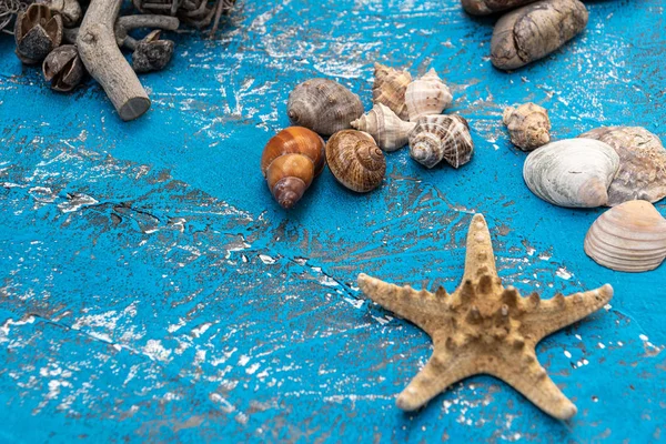 durgun hayat, yaz süsleri açık mavi eski ahşap okyanus elementleri