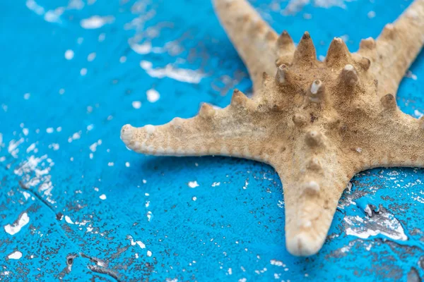 Naturaleza Muerta Adornos Verano Con Elementos Oceánicos Madera Vieja Azul — Foto de Stock