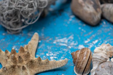 durgun hayat, yaz süsleri açık mavi eski ahşap okyanus elementleri