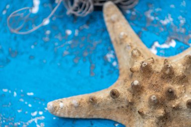 durgun hayat, yaz süsleri açık mavi eski ahşap okyanus elementleri