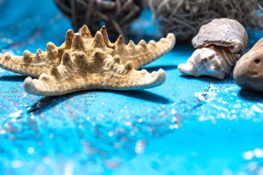 durgun hayat, yaz süsleri açık mavi eski ahşap okyanus elementleri