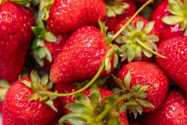 Rich Fresh Strawberries Eat Dessert Any Time — Stock Photo, Image