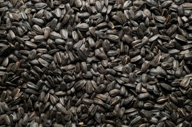 Ayçiçeği çekirdeği yığını