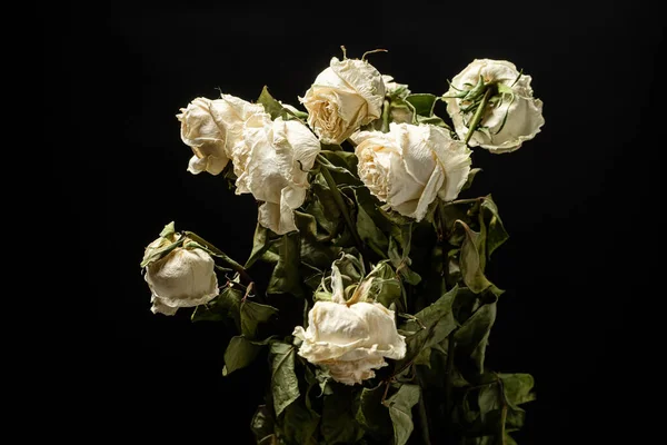 A close up of wilted roses
