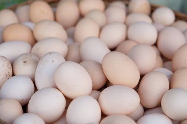 Yumurta kavramı fikir arkaplanı