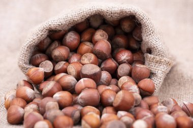 Fındık ya da fındık, filbert 'in konsept fikir fotoğrafı.