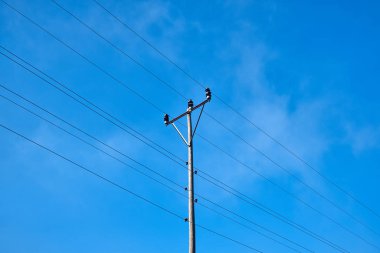 Klasik tahta elektrik direği, klasik ahşap elektrik direği.