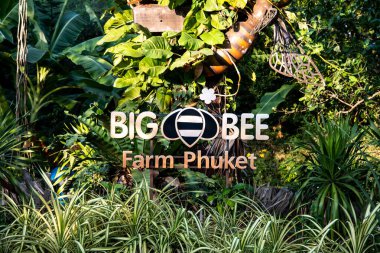 Big Bee Farm, Phuket / Tayland - 18 Ocak 2020: Big Bee Farm, Phuket 'teki kaplan arı çiftliği.
