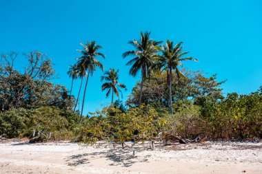 Koh Yao Yai Adası, Phuket / Tayland - 17 Ocak 2020: Koh Yao Yai Adası plajı ve kıyıları Tayland 'ın en popüler tatil yerleridir.