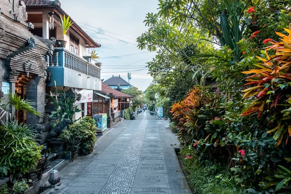 Ubud Bali Indonézia Február 2020 Utcai Kilátás Ubud Art Street — Stock Fotó