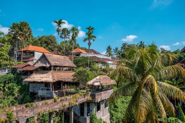 Endonezya 'nın Bali Adası, Ubud Eyaleti' ndeki tropikal orman ve geleneksel Bali evleri
