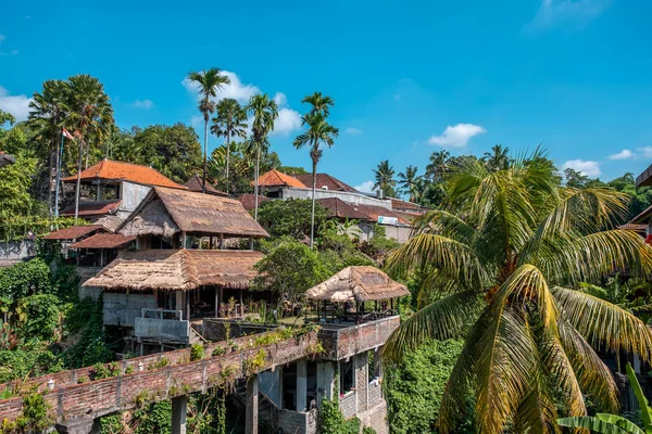 Giungla Tropicale Case Tradizionali Balinesi Nella Provincia Ubud Isola Bali — Foto Stock
