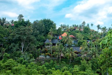 Ubud, Bali / Endonezya - 11 Şubat 2020: Campuhan Tepesi Yürüyüşü manzaralı Ubud manzarası, bu yerin adı 