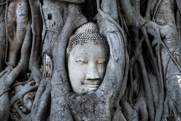 Buddha Head Banyan Tree Root Name Place Wat Mahathat Temple — Stock Photo, Image