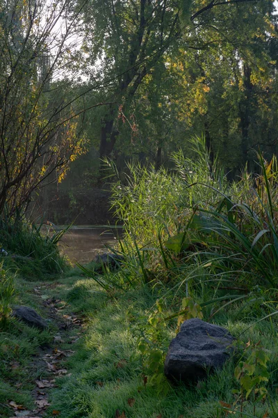 Camino Río Madrugada Otoño — Foto de Stock