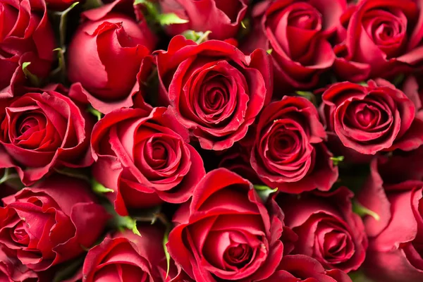 San Valentino-giorno-rosso-rose-chiusura Immagini Stock Royalty Free