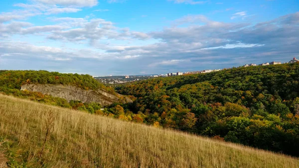 stock image Nature view from grass hill with forest in the horizon on partly cloudy Summer day in Prague.