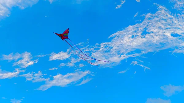 Pipa Voando Abaixo Das Nuvens Durante Belo Dia Verão — Fotografia de Stock