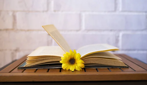 Open book with a yellow flower turning the pages on a white background.