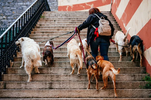 Генуя в регионе Лигурия, Италия — стоковое фото